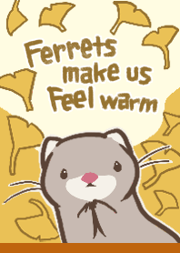 Ferrets make us feel warm -ginkgo