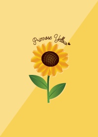 Sunflower Primrose Yellow pantone