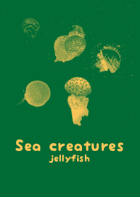 Sea crt Villy Jean