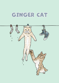 gingercat3 - mint cream