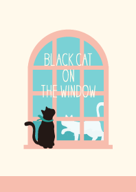 Black cat on the window
