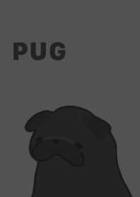 Pug black