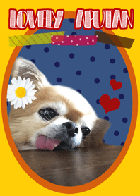 Lovely APUTAN@Pet GrandPrize