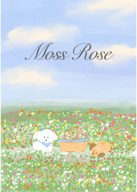 Moss Rose flower