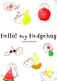 Hello! my Hedgehog