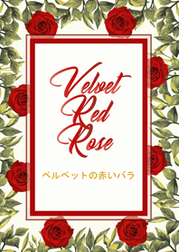 Velvet red rose valentine Japanese Ver