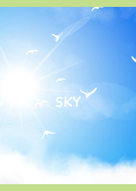 birds in the sky on moss green