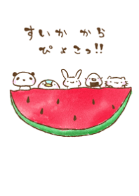 pyoko suika