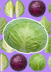 白菜真人表演 亮彩紫