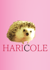 HARICOLE