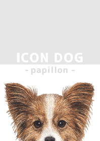 ICON DOG - Papillon - GRAY/02