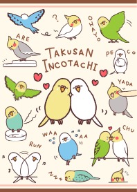 たくさんインコたち