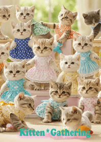 仔猫の集会