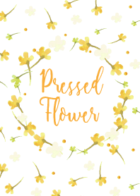 Pressed flower -03- yellow-