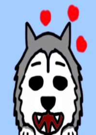 Big collection of dogs