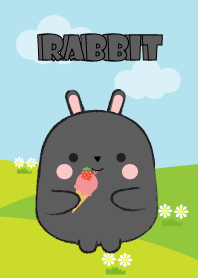 Pretty Fat Black Rabbit Theme
