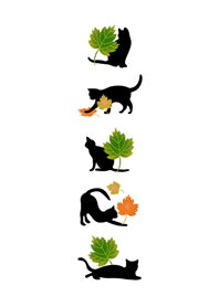 喜歡楓葉的黑貓咪