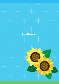 Summer sunflowers on blue