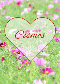 -- Cosmos -- 23