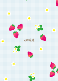 Strawberry plaid pattern29