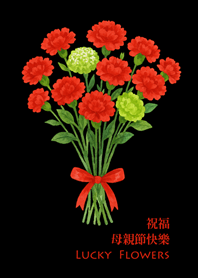 送媽媽一束康乃馨-經典黑色