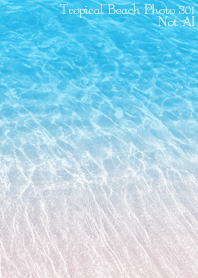 Tropical Beach Photo 292 Not AI