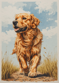 黃金獵犬 4avpe3