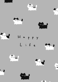 .貓.  white black