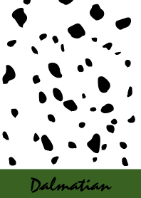 Dalmatian -Sasa-