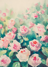 Beautiful rose flower(R4705)