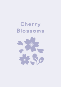 Cherry Blossoms14<Purple>