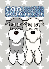cool schnauzer dog 4