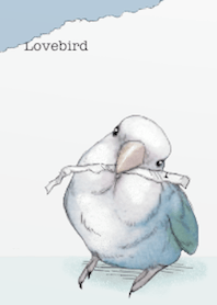 コザクラインコのピースケさん