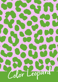 COLOR LEOPARD THEME -5
