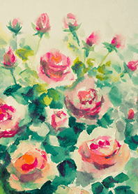 Beautiful rose flower(R4105)