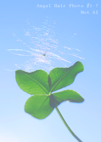 Angel Hair Photo#1-7Not AI