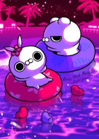 CRAZY DARK RABBIT -Night pool-