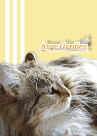 Ange Gardien