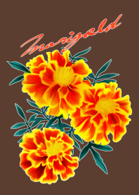 マリーゴールドの花