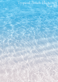 Tropical Beach Photo194 Not AI