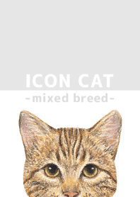 ICON CAT - Mixed breed cat - GRAY/15