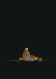 capybara and orange and snow - black