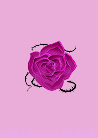 Lucky rose 10003
