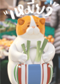 A cat goes to market to buy spring onion