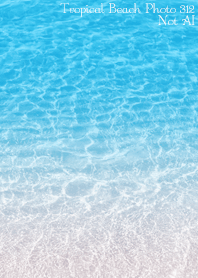 Tropical Beach Photo 312 Not AI