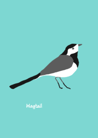 Wagtail