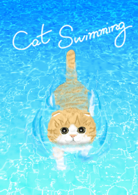 泳ぐ猫 : スコティッシュフォールド (茶白)