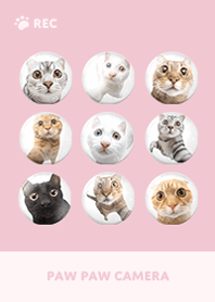 Paw Paw Camera -  Pink 11