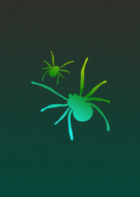 A spider that makes you beautiful