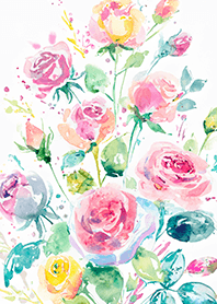 Beautiful rose flower(R4282)